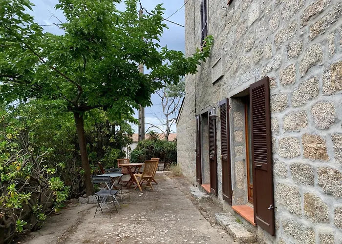 - Corse Du Sud Ouest *