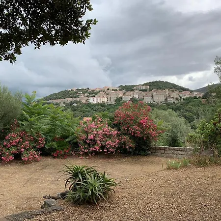 - Corse Du Sud Ouest *