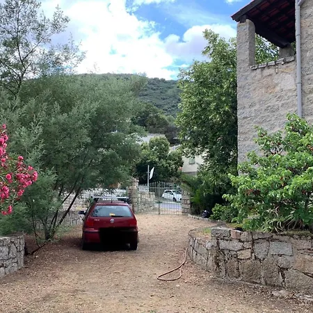 - Corse Du Sud Ouest