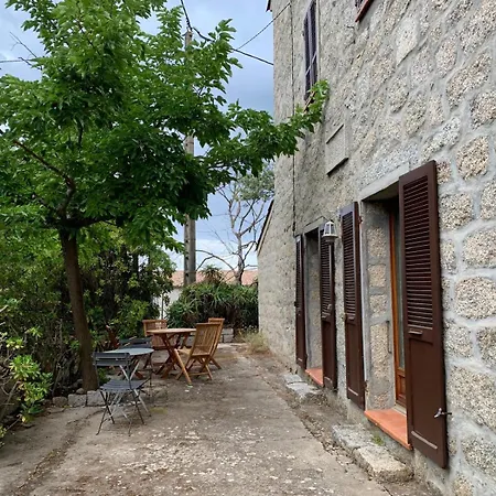 - Corse Du Sud Ouest *