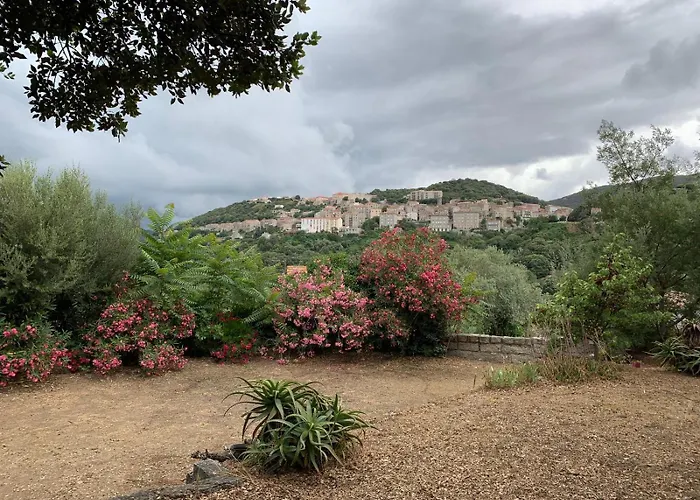 - Corse Du Sud Ouest *