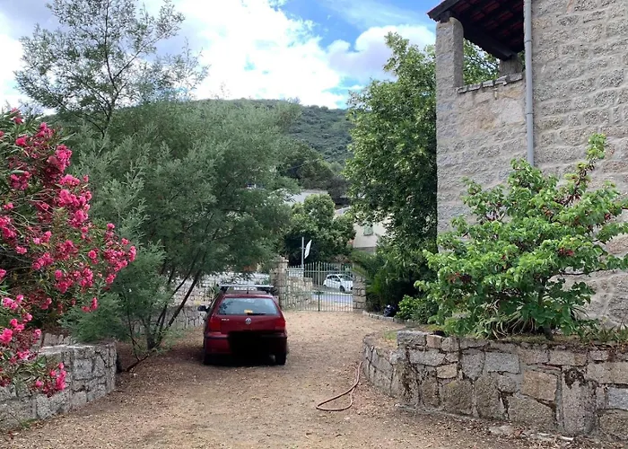 - Corse Du Sud Ouest